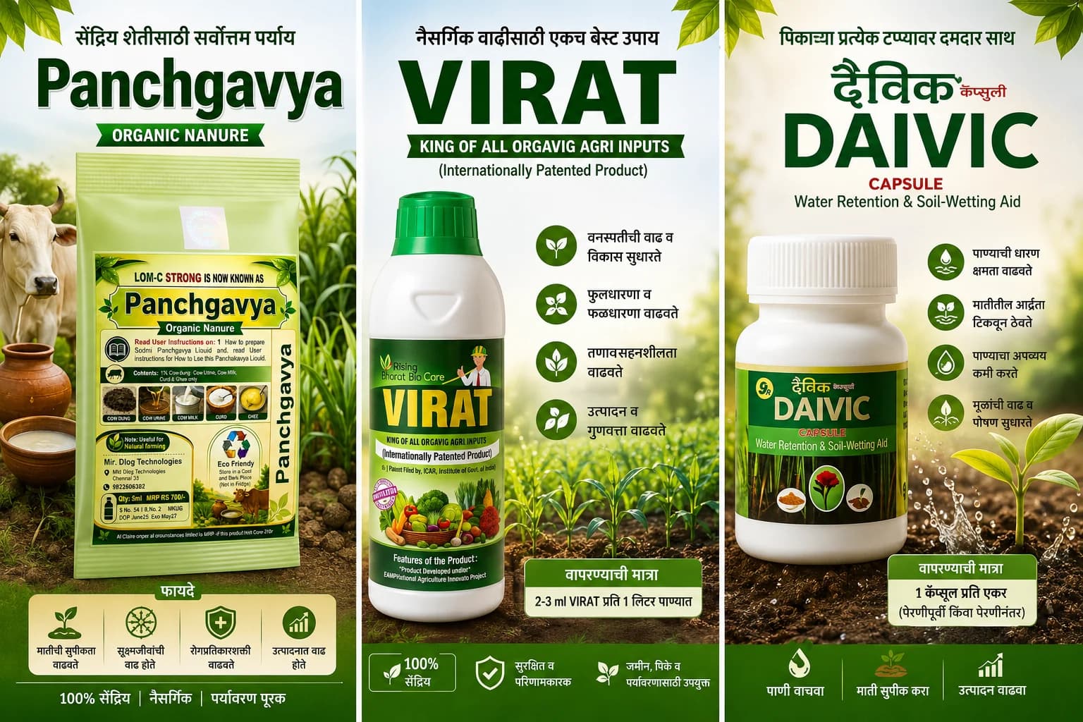 Daivik Capsule: मातीचे आरोग्य सुधारून पीक उत्पादन वाढवणारे नैसर्गिक तंत्रज्ञान