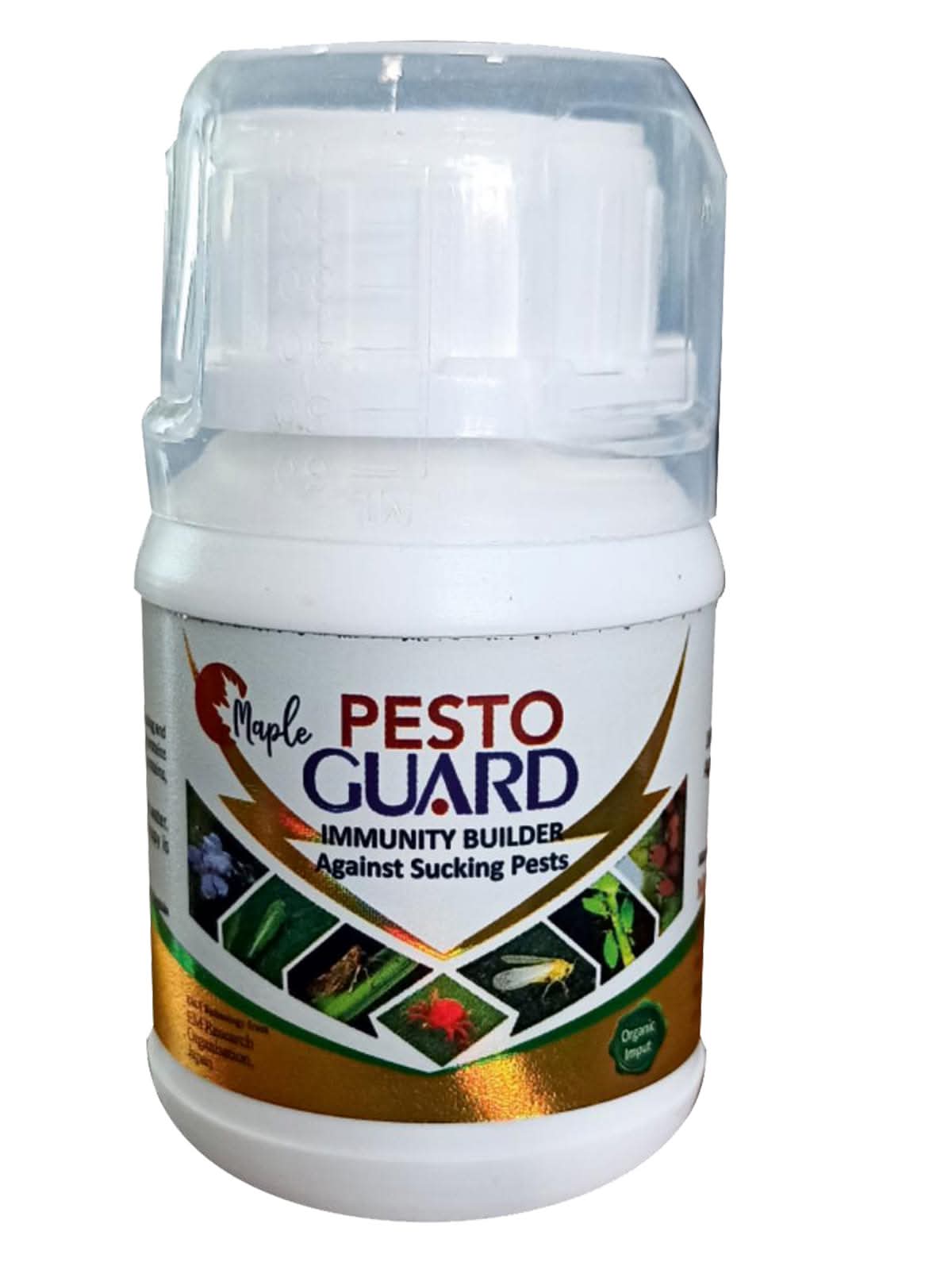 Pesto Gaurde