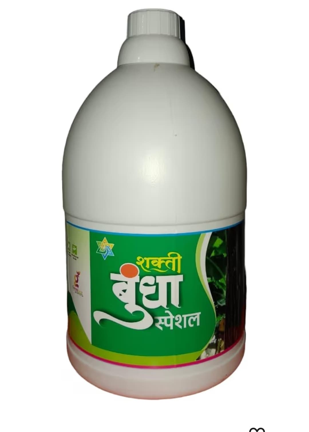 Shakti Bundha Special